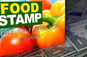 Kentucky Food Stamps Application