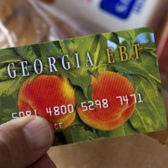 Georgia EBT Card Balance