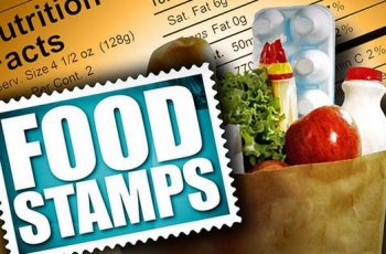 Florida Food Stamp Office