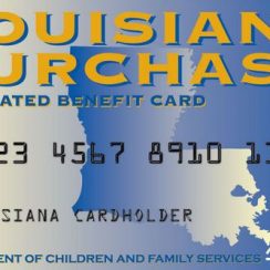 Ebt Louisiana Balance