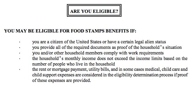 Georgia Food Stamps Online Application