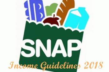 Food Stamp Income Guidelines 2018