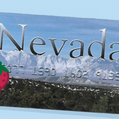 Check Nevada EBT Card Balance