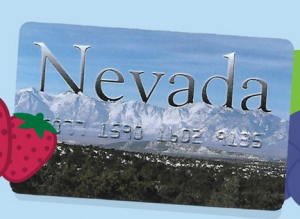 Check Nevada EBT Card Balance