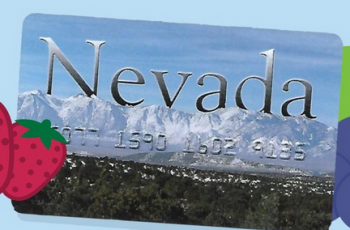 Check Nevada EBT Card Balance