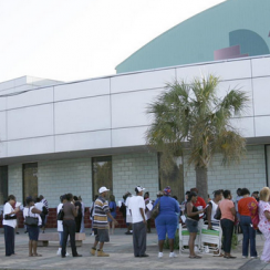 Disaster Food Stamps for Hurricane Florence