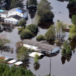 Apply for Disaster Food Stamps in North Carolina