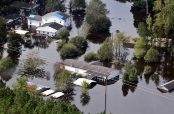 Apply for Disaster Food Stamps in North Carolina