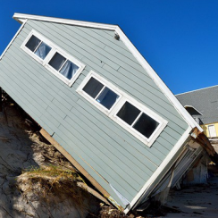 Apply For Florida Disaster Food Stamps