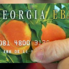 Georgia food stamps income limit