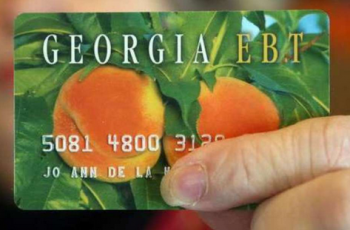 Georgia food stamps income limit