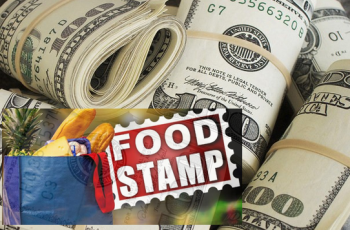 Food Stamps Income limit 2019