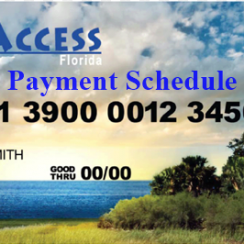 Florida EBT Payment Schedule 2019