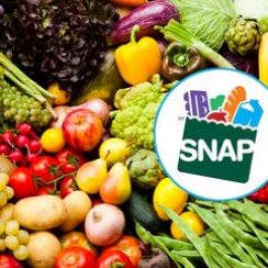 SNAP Replacement Benefits