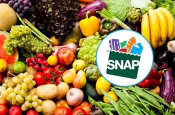 SNAP Replacement Benefits