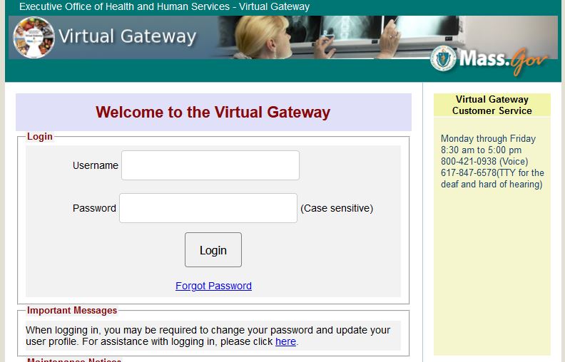 maven virtual gateway