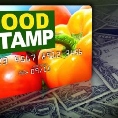 2023 Florida Food Stamps Income Limit