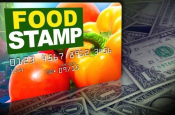 2023 Florida Food Stamps Income Limit